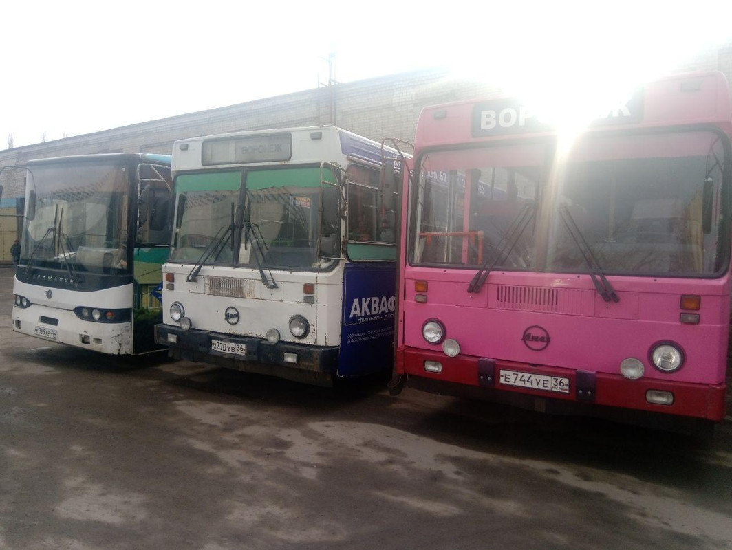 86 маршрут автобуса воронеж. маршрут 80 автобуса воронеж. воронежский автобус. Wiima k202 воронеж. маршрут 80 автобуса воронеж.