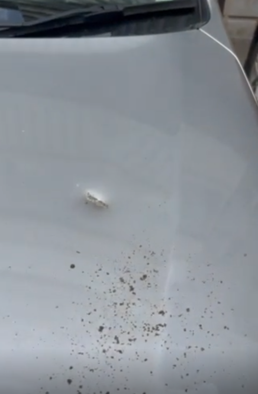 Капот Субару повреждение камнем