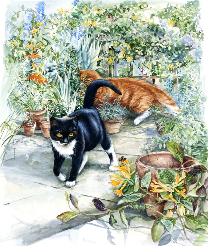 CHASING-BEES-1-C4938(1)