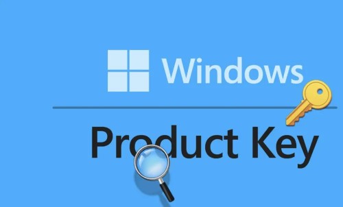 Microsoft Windows key