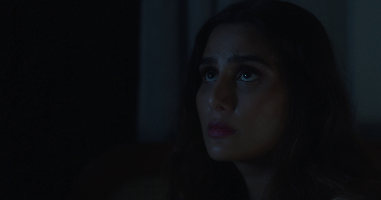 vlcsnap-2023-11-06-16h47m02s391