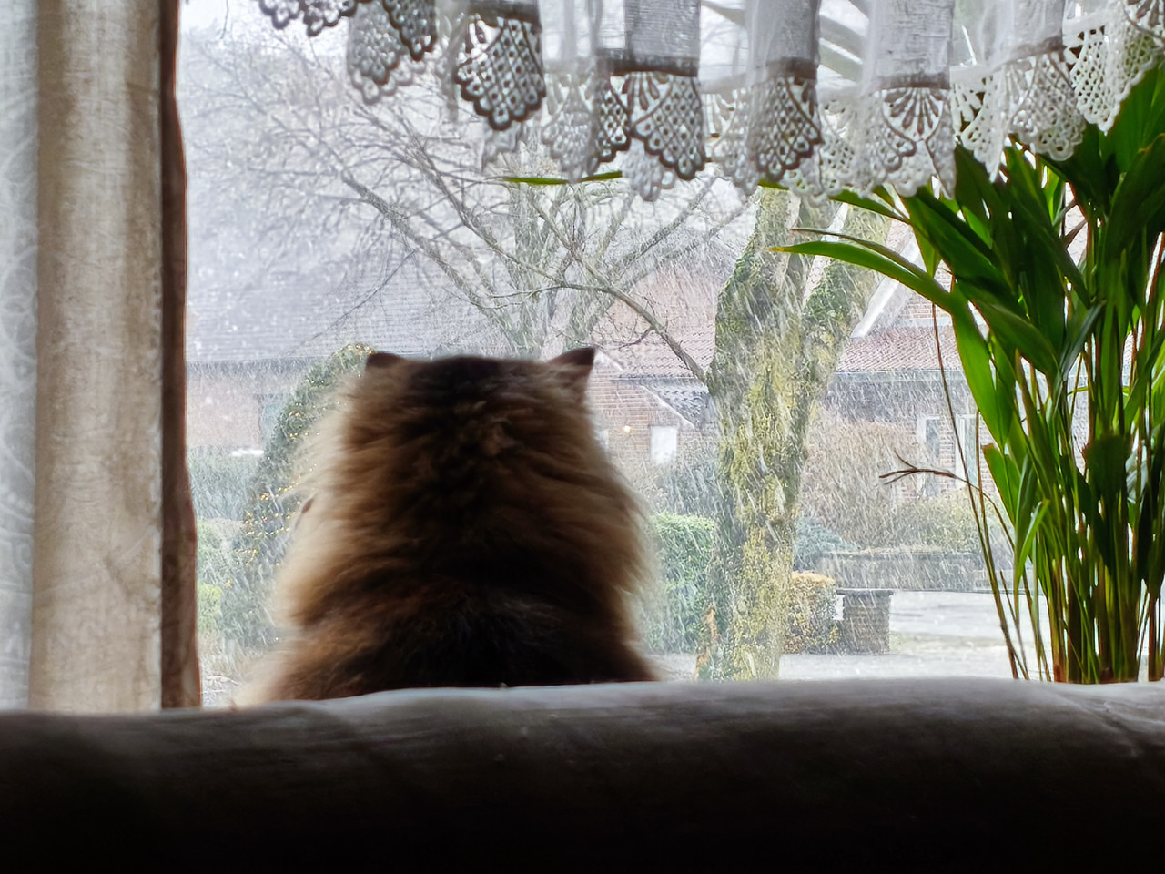 MVIMG 20260102 134550