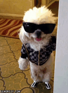 UDdJ.gif
