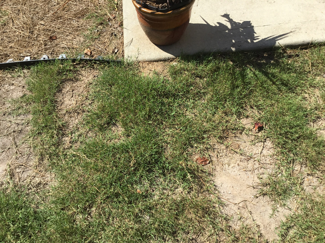 A7D440A9-3AE8-4AF1-B8DC-9CF64E420E5E