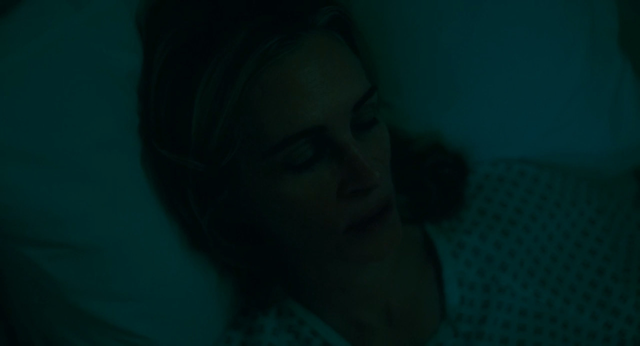 After the Hunt 2025 WebRip [Hindi + Tamil + Telugu + Malayalam + Kannada + English] 480p, 720p ESub Screenshot