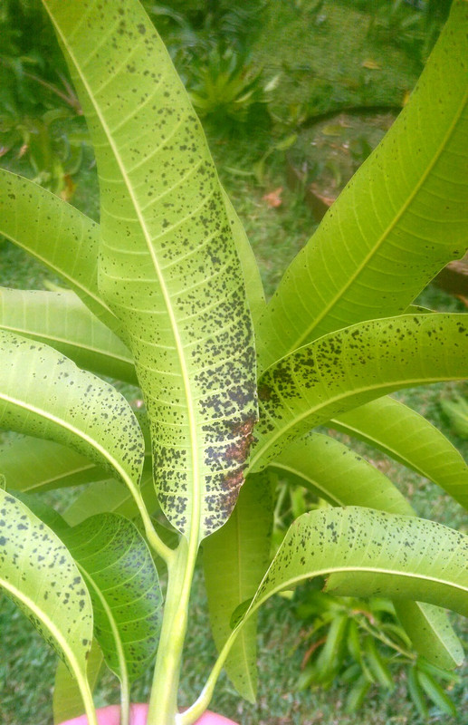 IMAG0253