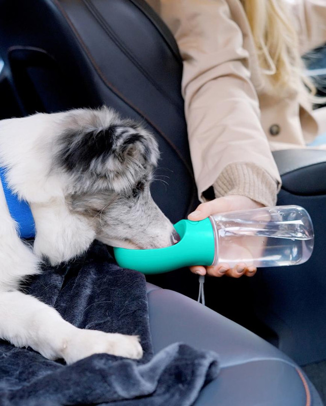 dog water bottle dispenser