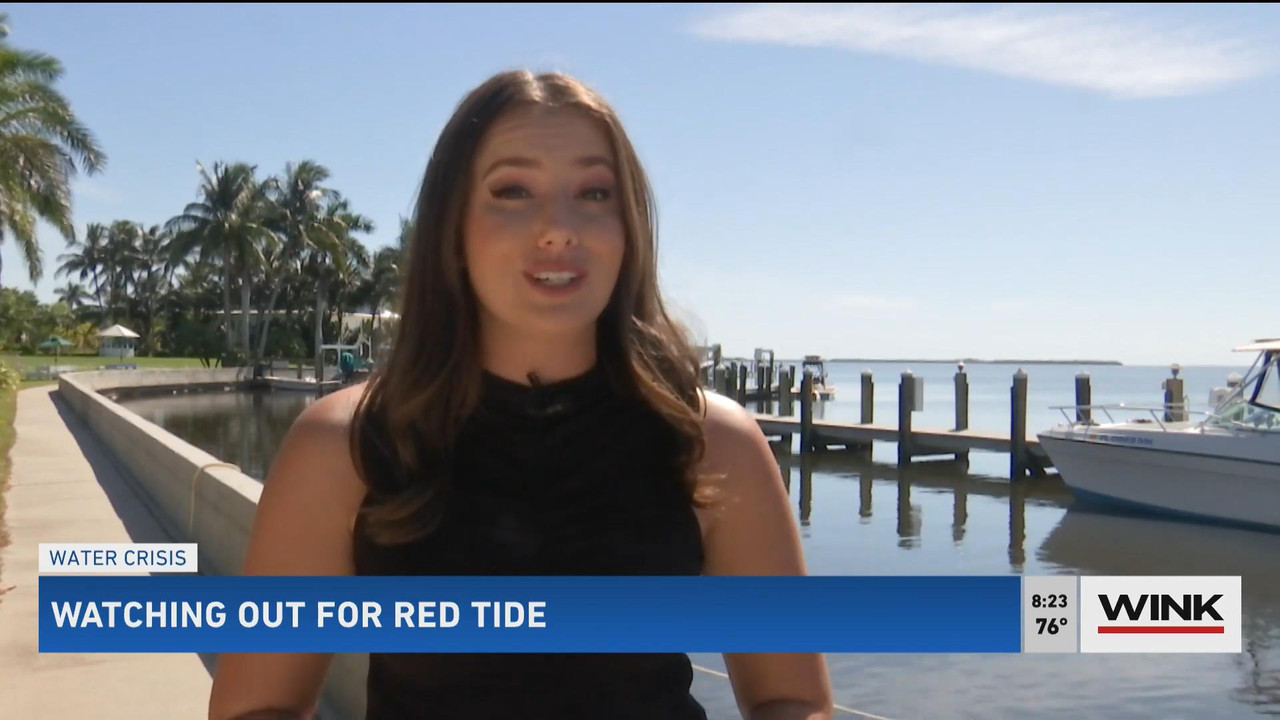 10.24 - 11.00.00 - WINK News @ 6 00AM Sunday. Local news, sports and ..._001.ts_snapshot_01.12.28_[2
