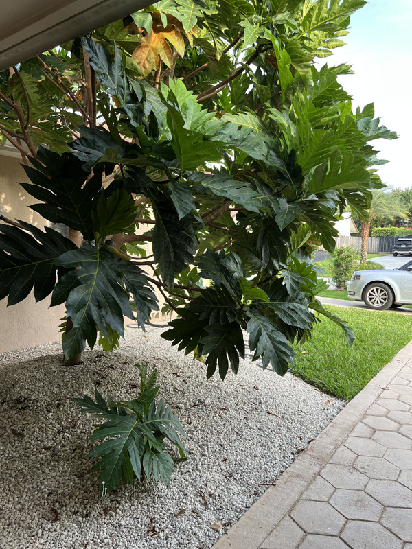 E0627368-5FFE-4B51-9C83-A6B73CD51372