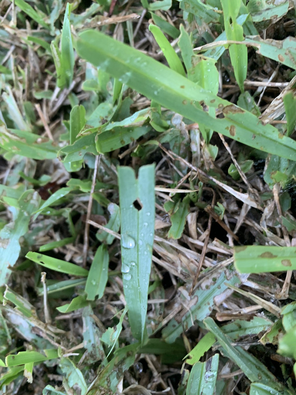 F6070898-B27B-4AE7-A7D3-CF9D8AAD6142