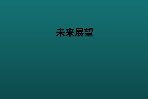 未来展望