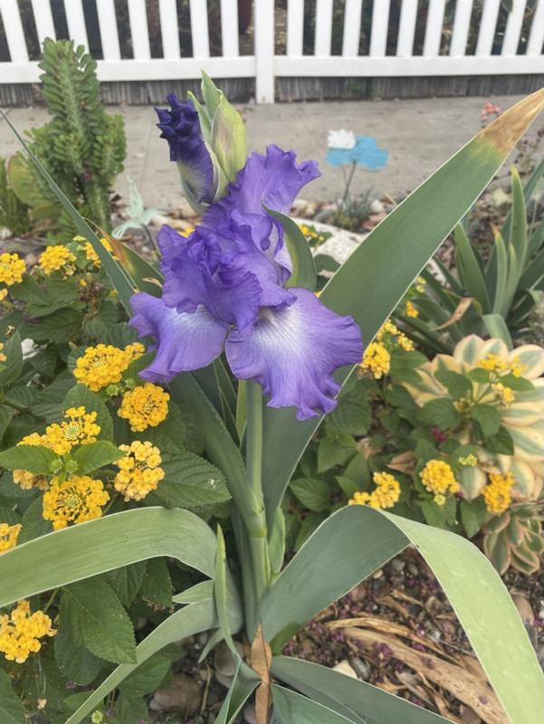 B287CBCB-319C-4EB3-9004-BC6BEB0E630E_1_105_c