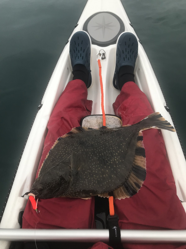 BE206D8C-0906-4FCC-9A04-76035007F128