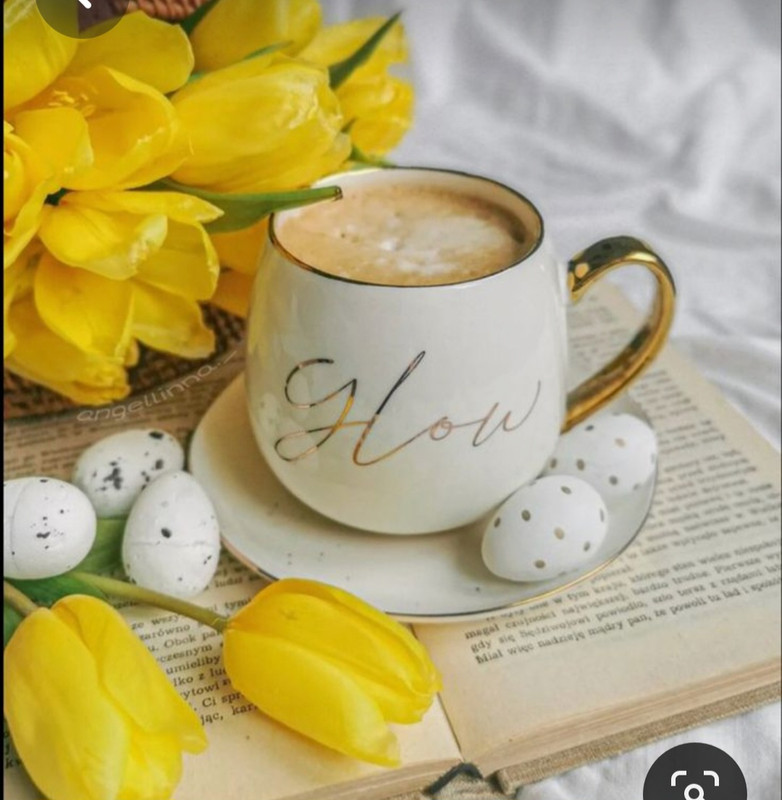 Screenshot_20230415_232209_Pinterest