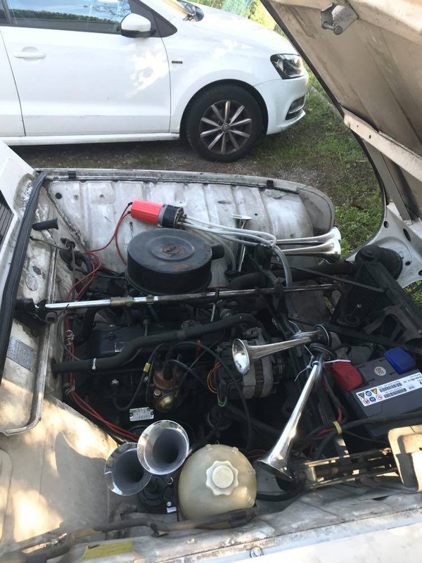 126538582_918524718677121_4707685192486961527_n