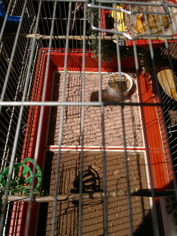 صورة