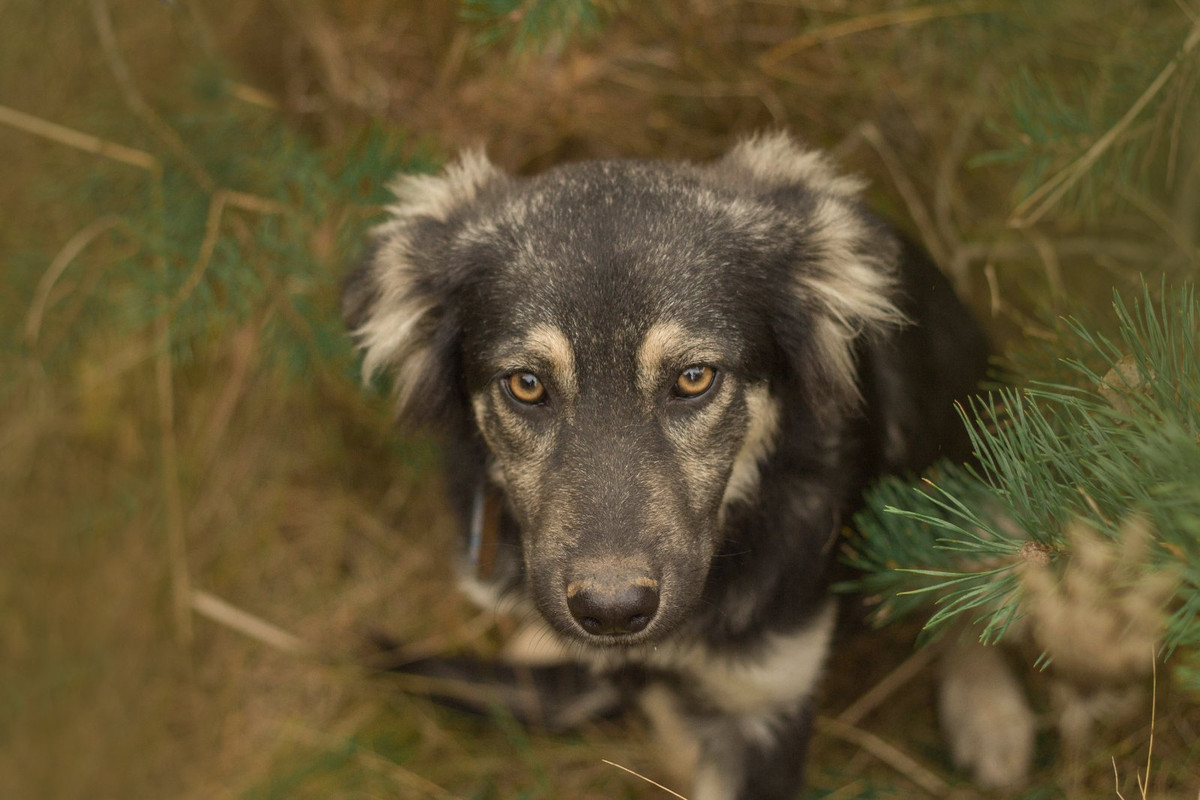 изображение_viber_2022-01-15_16-46-04-634