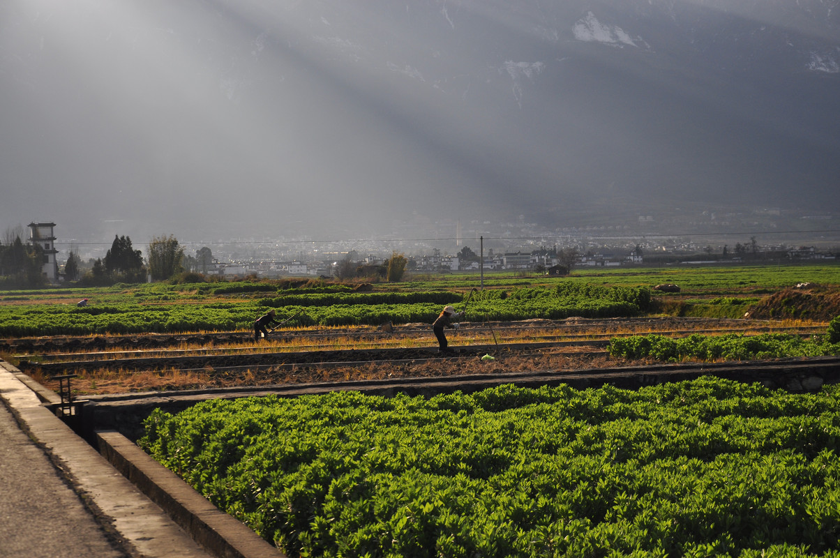 _DSC1400 (2015_08_13 16_07_04 UTC)