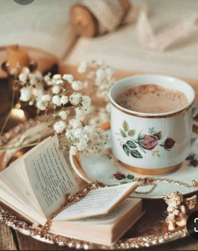 Screenshot_20230315_233620_Pinterest