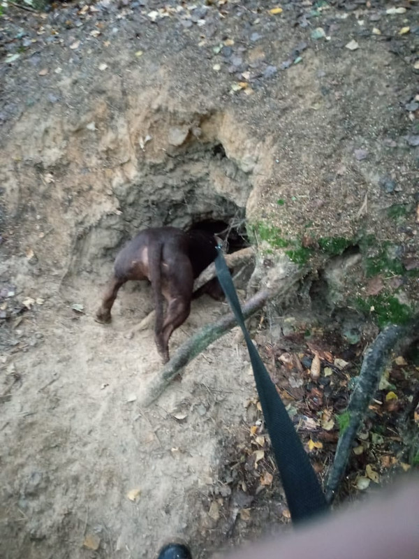 C9980276-71E9-4AD4-A6F1-4FC5873F9987