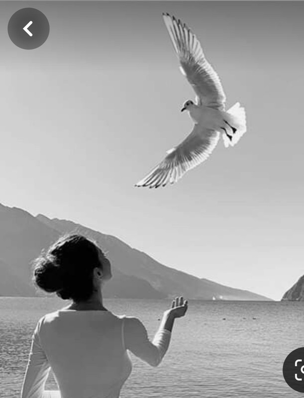 Screenshot_20240330_205200_Pinterest