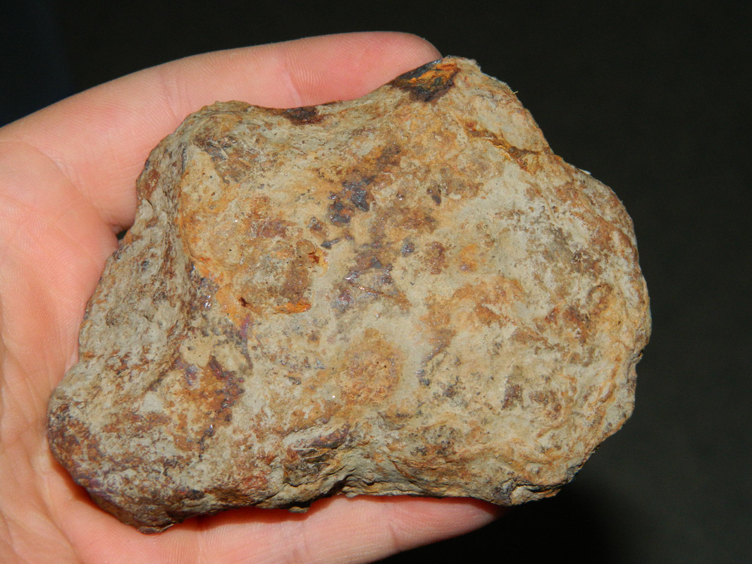 triplahopiat 035