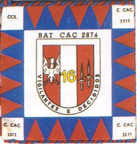 BCac2874-1
