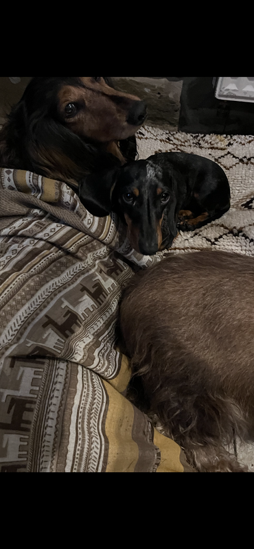 [Image: 6169613-C-7132-4524-88-D0-F81-D759-CEEA5.png]