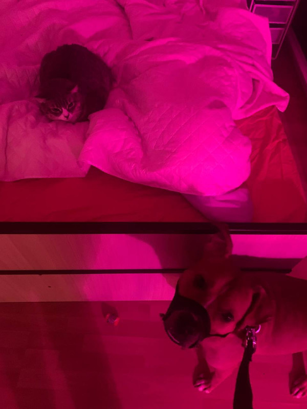 B6C0D488-29BE-4E1D-911B-0953E88205EE