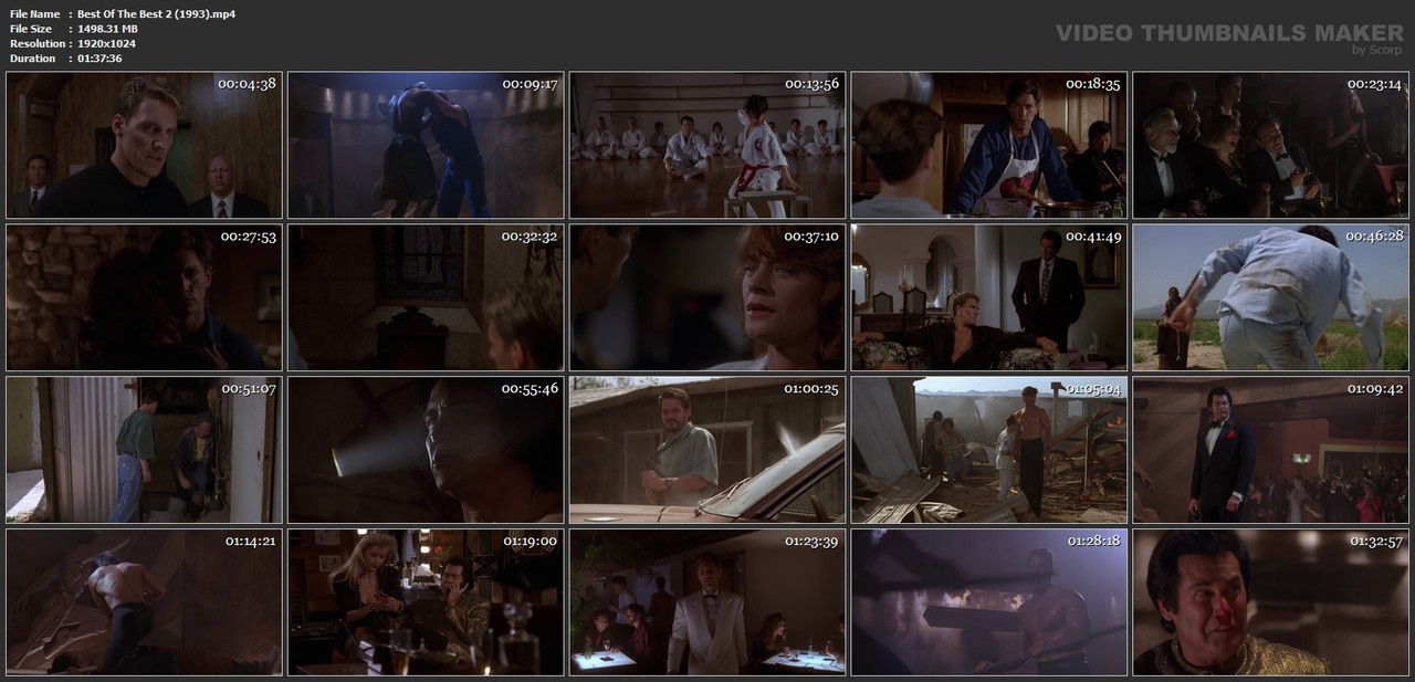 Best Of The Best 2 (1993).mp4