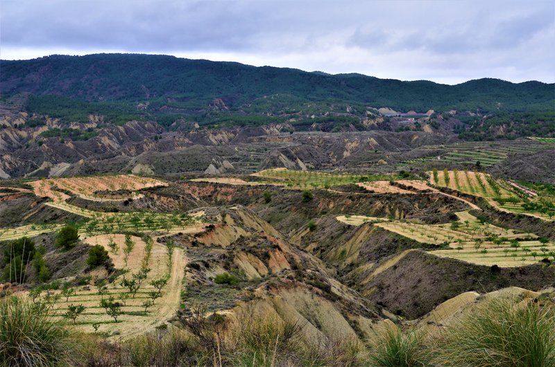 BARRANCO DE GEBAS-8-11-2012-MURCIA - Paseando por España-1991/2024 (10)