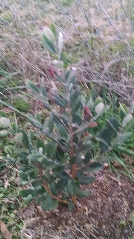 IMG_20141202_172122054