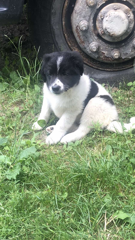 5B53D03A-0F4E-4BA6-A432-1C5C1BCA97EC