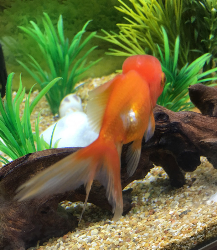 D85C8CBA-A65D-45B0-A1A0-C170CD9C0A9E