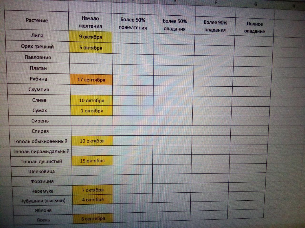 photo_2024-10-19 7.23.54 пп