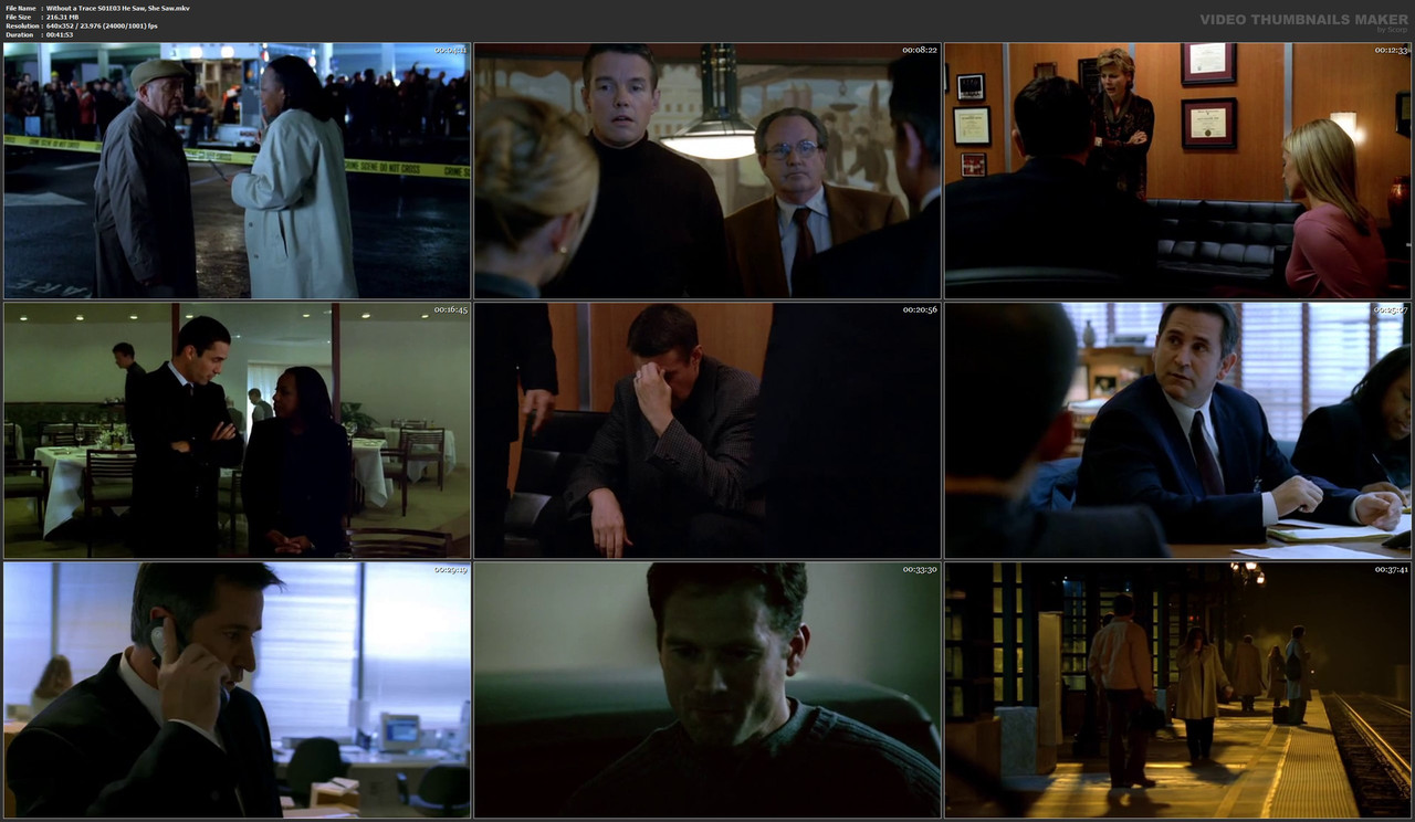 Without a Trace S01E03 He Saw, She Saw.mkv