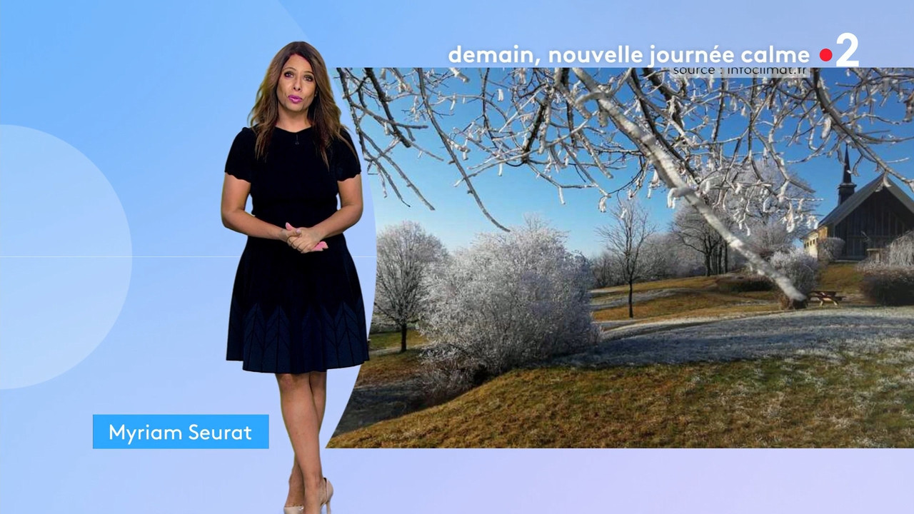 2022-01-14_20_35_Fr2_Meteo.mp4_snapshot_08.30.292