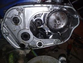 12167298_1473408022968603_1562087644_n