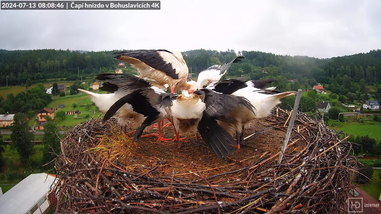 Tiešraidē no uzņēmuma KARA stārķa skursteņa Bohuslavicē pie Trutnovas 13-9-22 screenshot