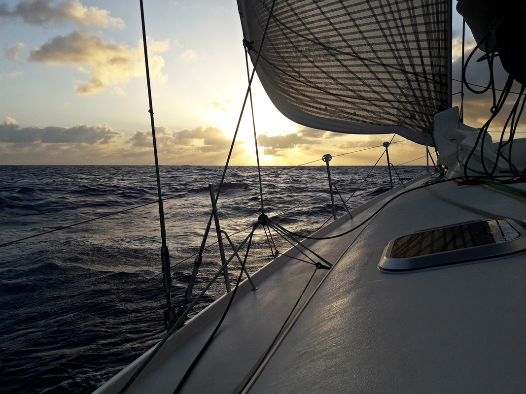 [Imagen: 20200208-185715.jpg]