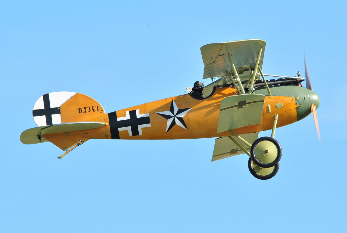 2-Albatros-D