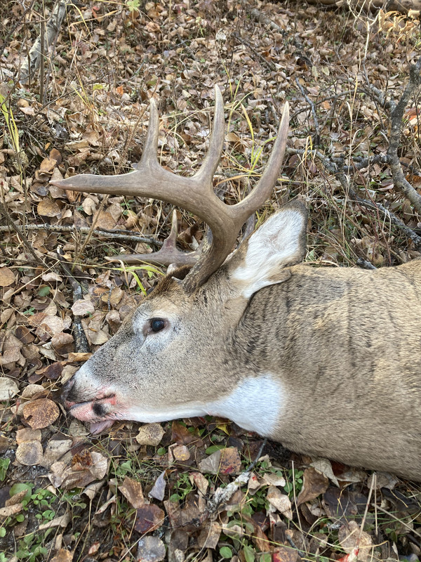 2FA166FB-4DC7-49E0-9C33-45192419D391