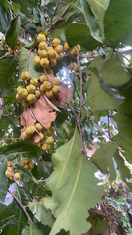 5BEA2BF0-4667-4E86-941C-12985AAF2A70