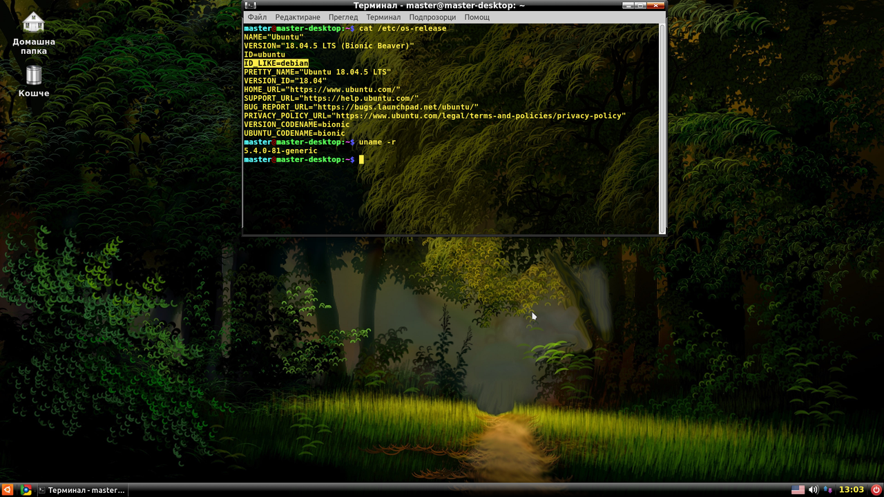 Ubuntu-18-04-5.png