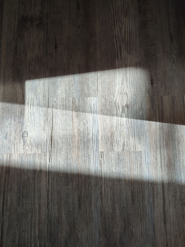 af3e0fef-57a9-46bb-8a6c-39559c85618d.jpg