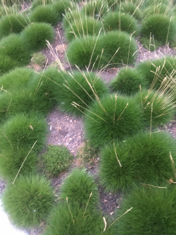 F6FB10AF-F2D9-4378-835A-76D400420CF6