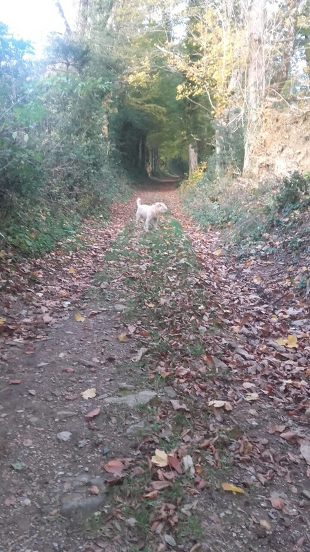 60F47AD3-FB53-4A4F-8628-4FB89C817052