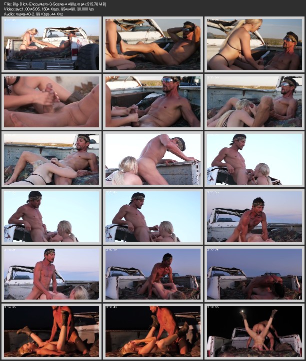 Big Dick Encounters 3 Scene 4 480p