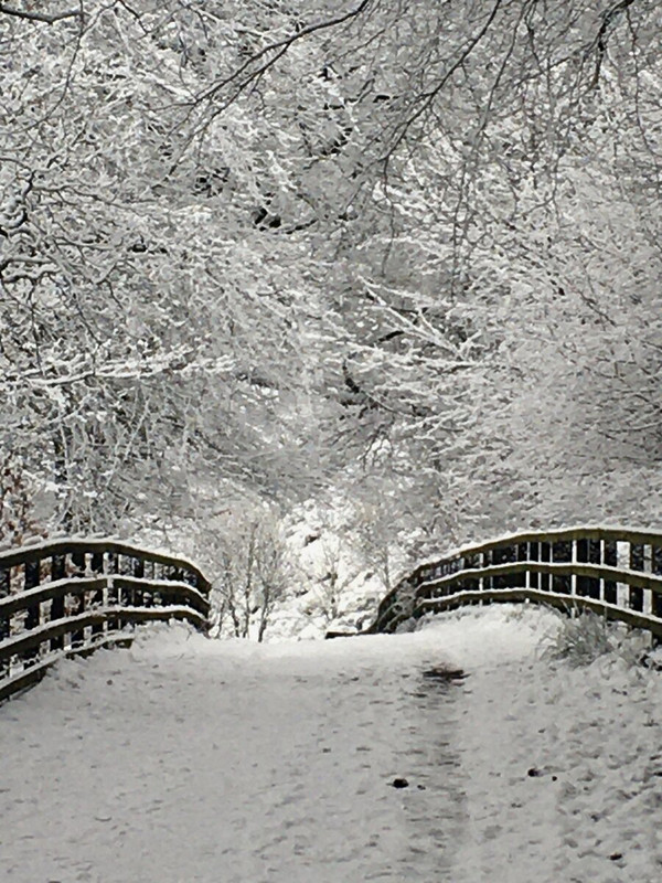 75EA4C3F-5A21-47C1-94B7-300383F9A74D