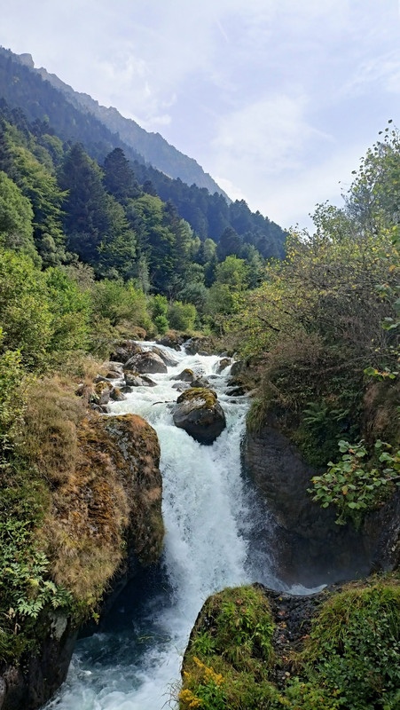 IMG20250818162750 (Large)